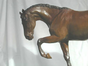 dscn0504.jpg