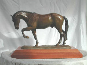 dscn0508.jpg